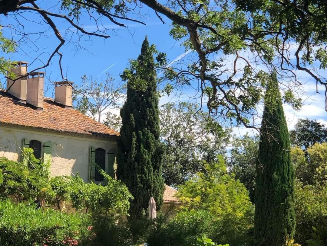 Le Mas Neuf 1752 Arles Exterior foto